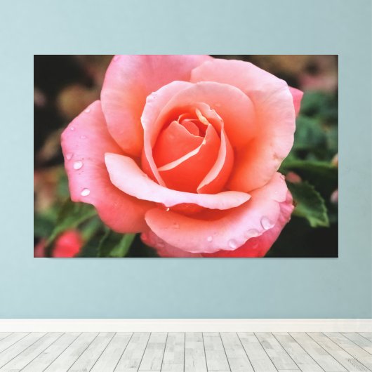 Romantische Roos Botanische Kunstprint Canvas Afdruk (Insitu (Houten vloer))
