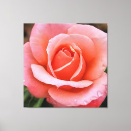 Romantische Roos Botanische Kunstprint Canvas Afdruk