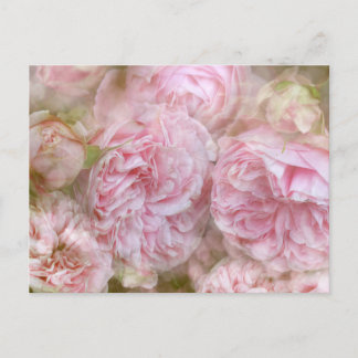 Romantische Rosen - Romantic Roses Briefkaart