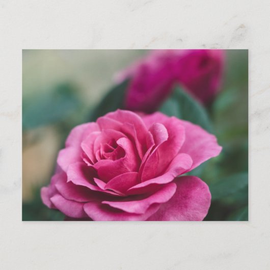 Romantische Roze Briefkaart (Voorkant)