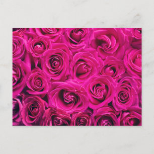 Romantische Roze Briefkaart