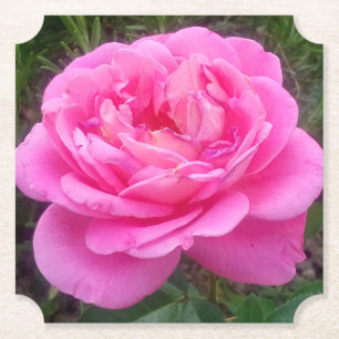 Romantische Roze Roos 'Leonardo Da Vinci' Kartonnen Onderzetters
