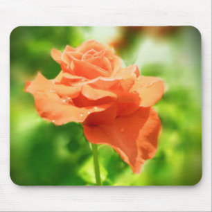 Romantische rozen bloemen #2 muismat