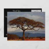 Romantische Safari Afrika Bridal Dank u kaarten (Voorkant / Achterkant)