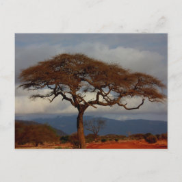 Romantische Safari Afrika Bridal Dank u kaarten