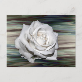 Romantische Safari Floral Guest Vrijgezellenfeest  Uitnodiging Briefkaart