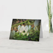 Romantische Valentijnsdag met bloedingsharten Kaart (Voorkant)