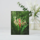 Romantische vintage rode spinlelie briefkaart (Staand voorkant)