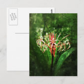 Romantische vintage rode spinlelie briefkaart (Voorkant / Achterkant)