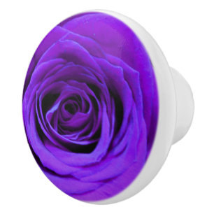 romantische violette paarse rozen , rozenroos bou keramische knop