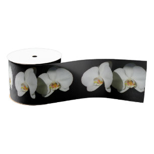 Romantische witte orchideeën, tropische foto van f grosgrain lint
