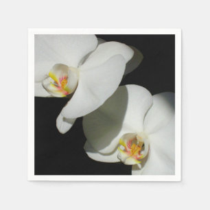Romantische witte orchideeën, tropische foto van f servet
