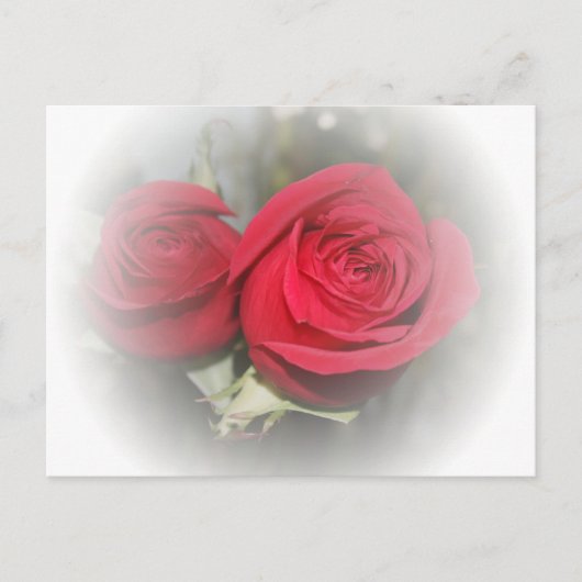Romantische zachte rode rozen briefkaart (Voorkant)
