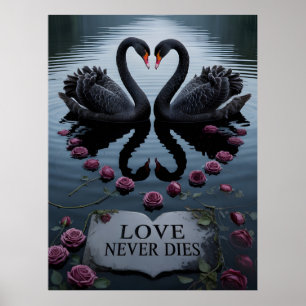 Romantische Zwarte Zwanen Hart Weerkaatsing met Te Poster