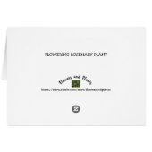 Romarin en fleur de fleurs Photo Herbe (Dos Horizontal)