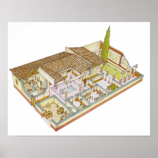 Rome. Domus Poster (Voorkant)