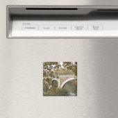 Rome Magneet (Insitu (Vaatwasser))