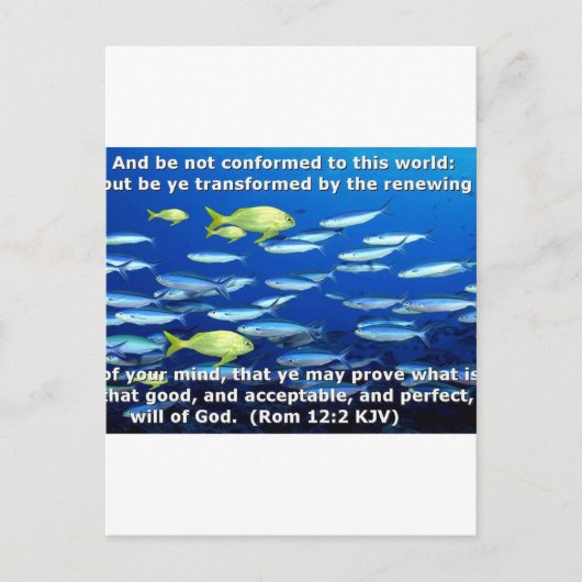 Romeinen 12:2 briefkaart (Voorkant)