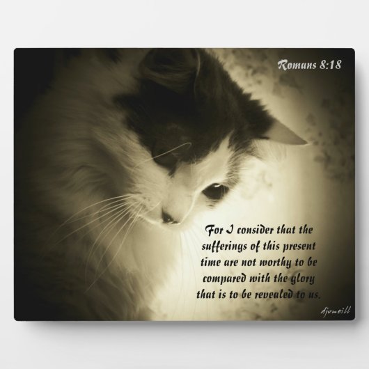 Romeinen 8:18 fotoplaat (Voorkant)