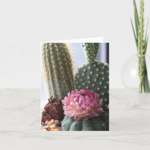 Romeinen 8:37 Cactus Kaart