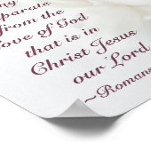 Romeinen 8:39 Liefde van God Bijbelwitte Orchideeë Poster (Hoek)