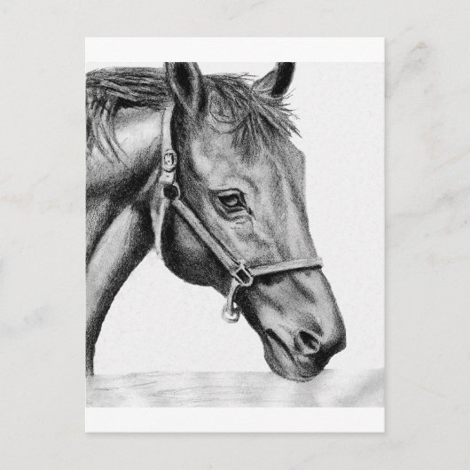 Romeo Briefkaart (Voorkant)