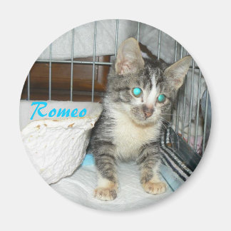 Romeo cirkel magneet