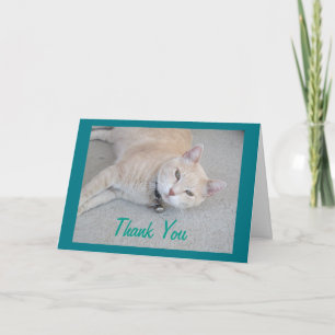 Romeo De Kat Dank U Wenskaart Bedankkaart