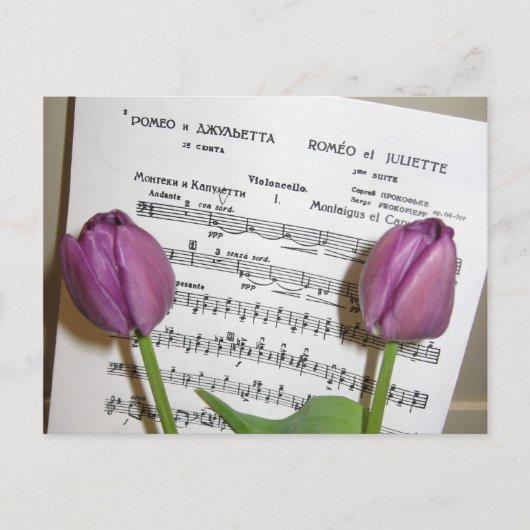 Romeo en Juliet briefkaart (Voorkant)