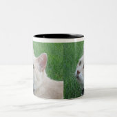 Romeo Le Café Mug (Centre)