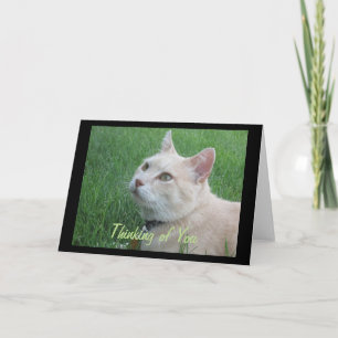 Romeo Le chat Penser de vous Carte de voeux