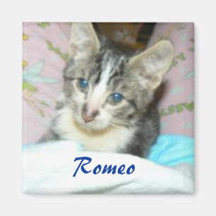 romeo magnet magneet