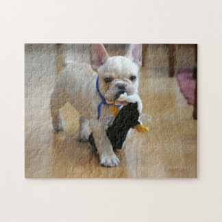 Romeo the French Bulldog Puzzle Legpuzzel