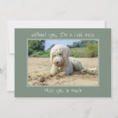 Rommel zonder je hond mis je Kaart (Voorkant)