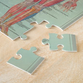 Rompecabezas - Anatomía Legpuzzel (Zijkant)