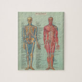 Rompecabezas - Anatomía Legpuzzel (Verticaal)