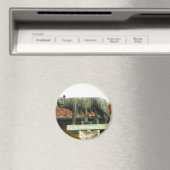 Romulus en Remus - Oude Rome Magneet (Insitu (Vaatwasser))