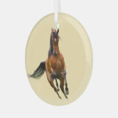 Ron Hevener Glas Ornament (Voorkant links)