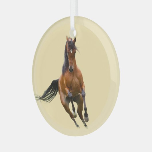 Ron Hevener Glas Ornament (Voorkant links)