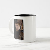 Ron Weasley Tweekleurige Koffiemok (Voorkant links)