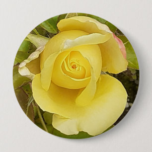 Rond 10 Cm Badge de Rosebud Jaune