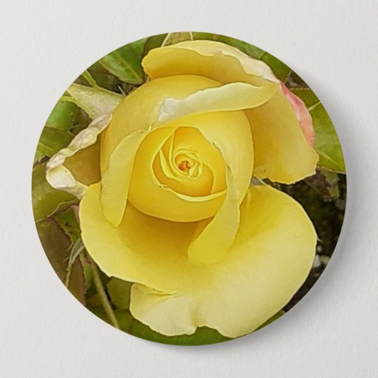 Rond 10 Cm Badge de Rosebud Jaune (Devant)