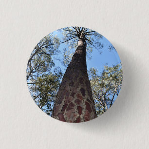 Rond 2,50 Cm Badge de la Gerche Ponderosa Pine