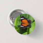 Rond 2,50 Cm Badge de papillon tropical (Devant & derrière)