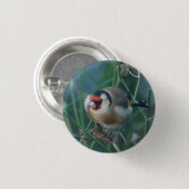 Rond 2,50 Cm Badge Goldfinch (Devant & derrière)