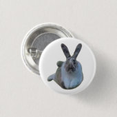 Rond 2,50 Cm Badge Paddy (Devant & derrière)