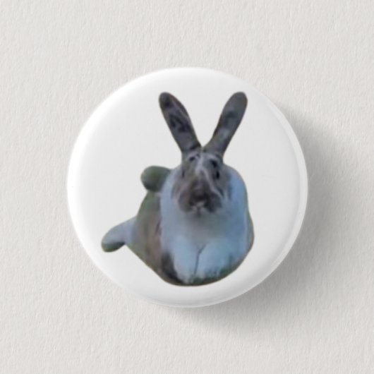 Rond 2,50 Cm Badge Paddy (Devant)