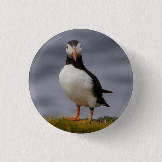 Rond 2,50 Cm Badge Puffin (Devant)