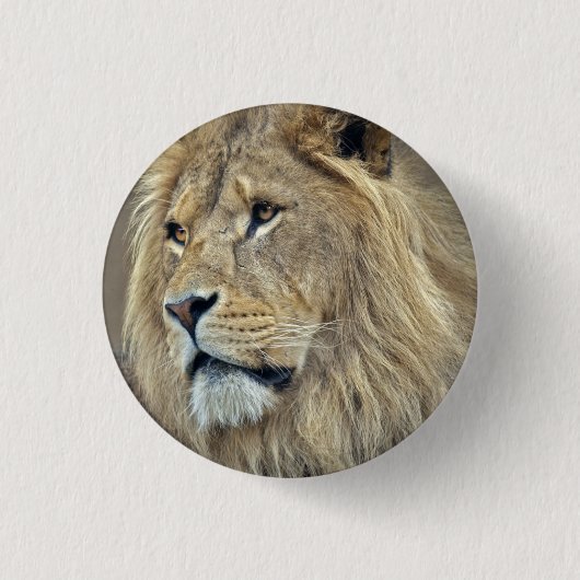 Rond 2,50 Cm Badge Sphinx (Devant)