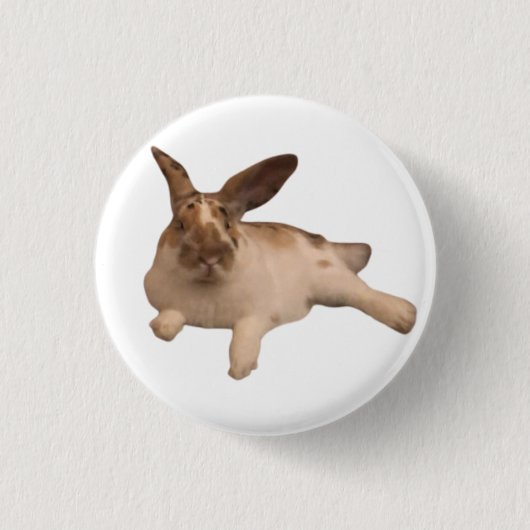 Rond 2,50 Cm Badge Zesty Paddy (Devant)